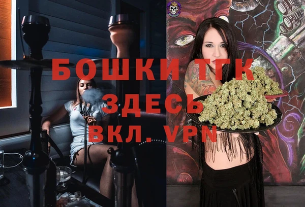 стаф Верея