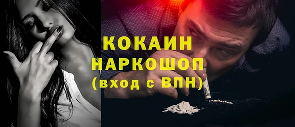 стаф Верея