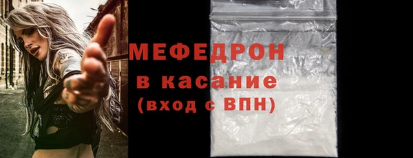 стаф Верея
