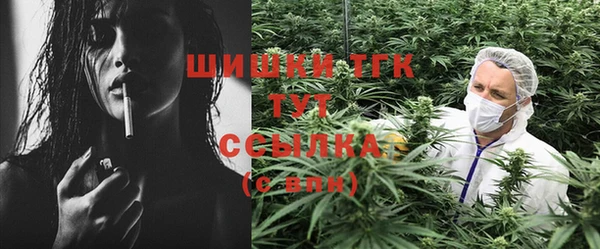 стаф Верея