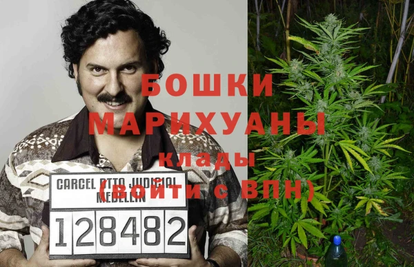 стаф Верея