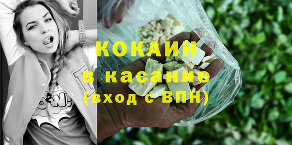стаф Верея