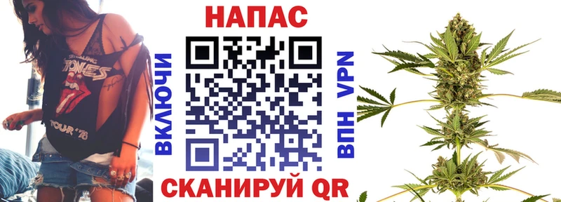 Шишки марихуана Ganja  Пушкино 